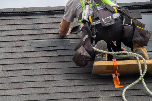 Best Flat Roof Repair Services  in La Crosse, WI