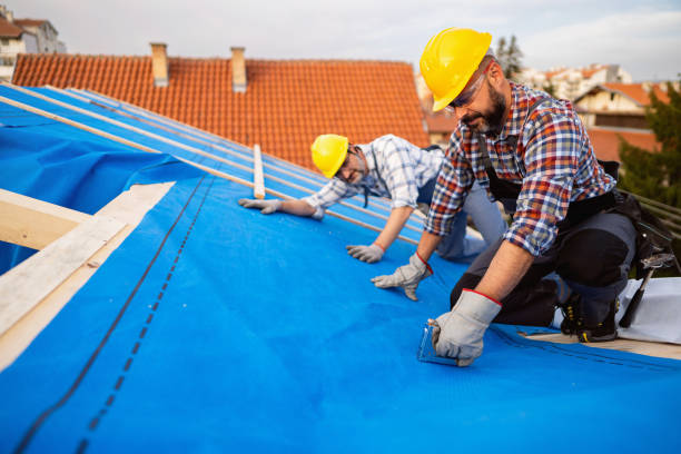 Best Slate Roofing Contractor  in La Crosse, WI
