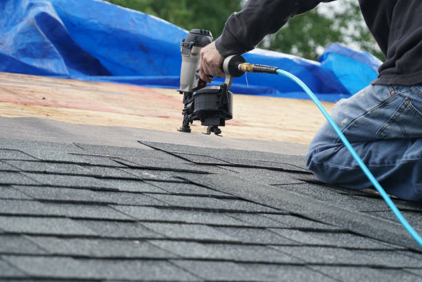 Best Metal Roofing Contractor  in La Crosse, WI
